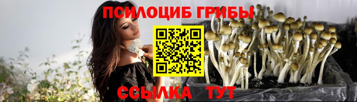 Галлюциногенные грибы мицелий  Вход с VPN  Георгиевск 